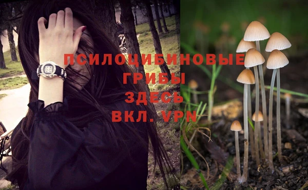 mix Гусь-Хрустальный