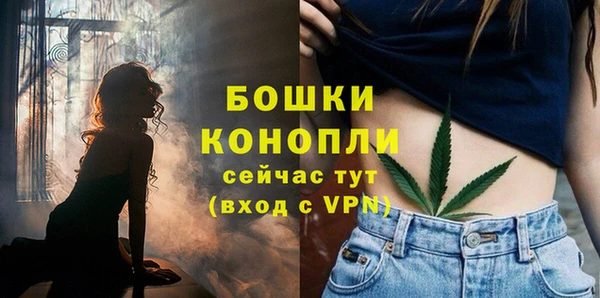 метадон Горнозаводск